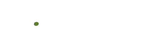 Rapid Fire Disc Golf Logo