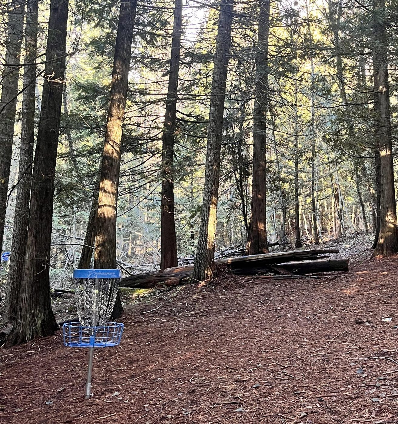 Westwood disc golf course on Rathdrum Mountain